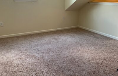 Carpet Cleaning